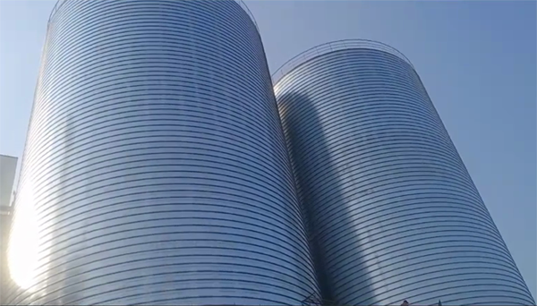 华州2座混凝土高架卷板仓